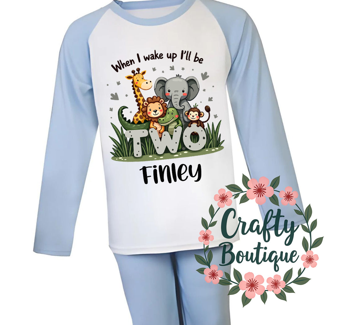 2nd Birthday PJs, 2 Year Old Safari Animal Personalised Boys Pajamas - 1038