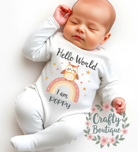 Cute Owl New Baby Bodysuit, Personalised Hello World Baby Grow - 1069