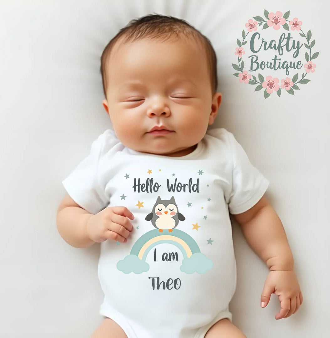 Cute Owl New Baby Bodysuit, Personalised Hello World Baby Grow - 1070