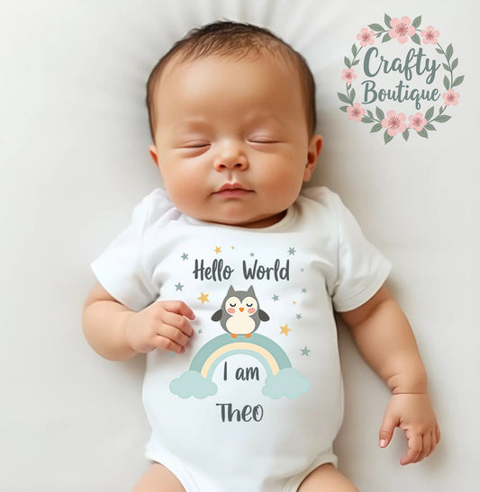 Cute Owl New Baby Bodysuit, Personalised Hello World Baby Grow - 1070